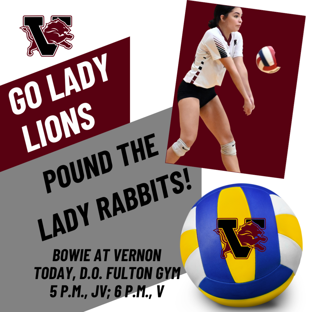 volleyball promo bowie